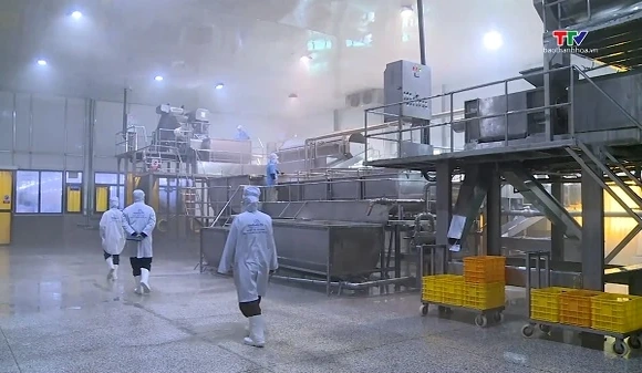 Ngân hàng UOB nâng mạnh dự báo tăng trưởng GDP Việt Nam