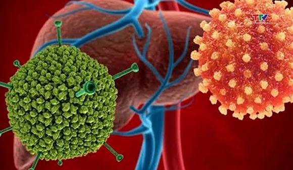 Số ca nhiễm virus Adenovirus có xu hướng gia tăng