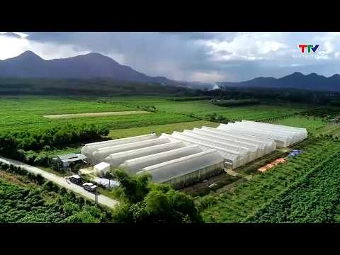 Các chính sách ưu đãi đối với dự án trong khu nông nghiệp ứng dụng công nghệ cao
