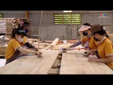 Thanh Hóa: Thu ngân sách nội địa tăng 5,9% so với cùng kỳ