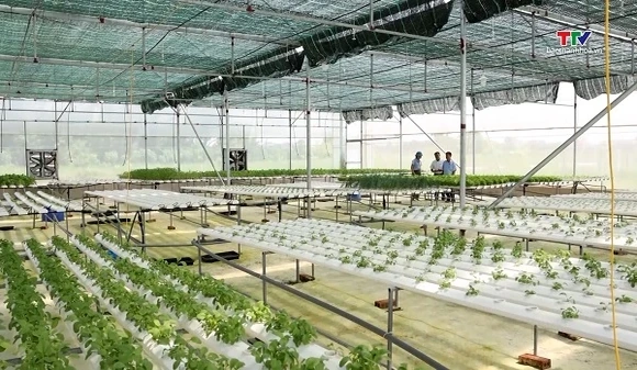 Chuyển đổi cơ cấu cây trồng gắn với ứng dụng công nghệ cao
