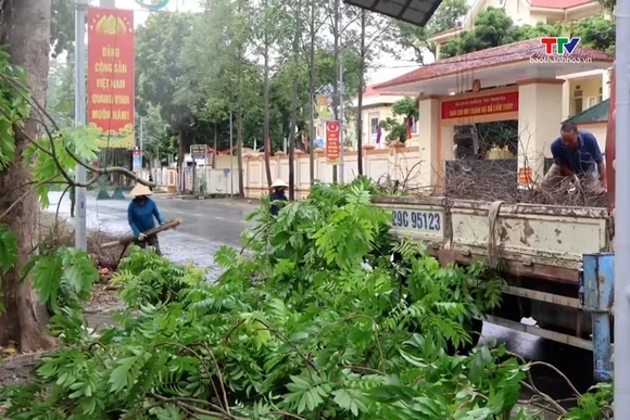 Xã Cẩm Thủy ra quân cắt tỉa cây xanh phòng, chống mưa bão