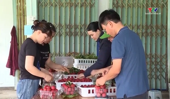 Đơn giản hóa cấp mã số vùng trồng, tạo thuận lợi cho xuất khẩu nông sản