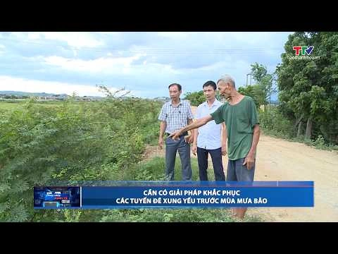 Bản tin Dòng chảy kinh tế ngày 15/7/2026