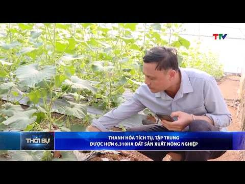 Bản tin Thời sự 16h ngày 15/7/2026