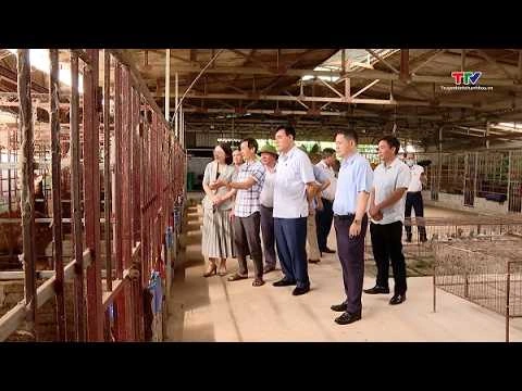 Nâng cao năng lực quản lý cho cán bộ và phát triển nguồn nhân lực kinh tế tập thể