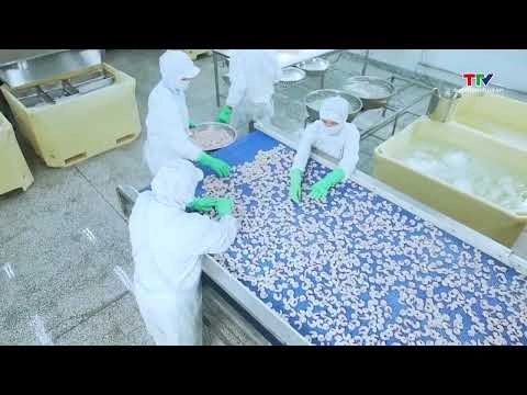 Xuất khẩu tôm sang thị trường Trung Quốc tăng mạnh 