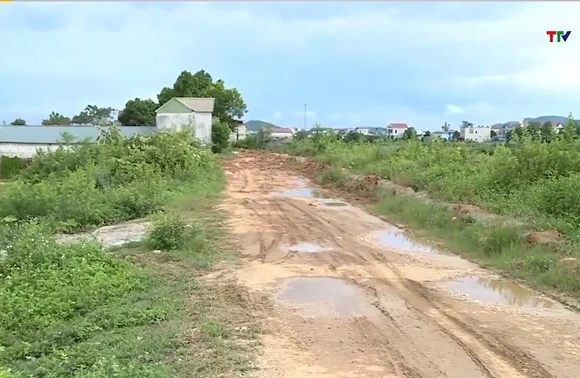 Nỗi lo những tuyến đê xung yếu trước mùa mưa bão