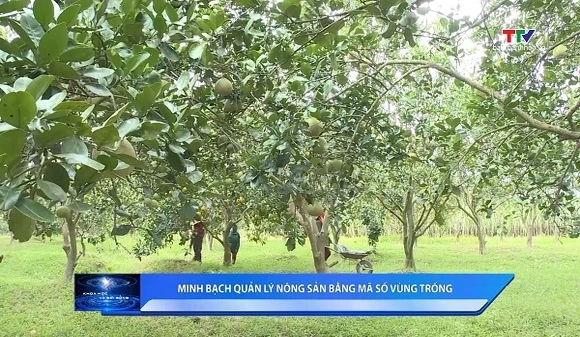 Khoa học và Đời sống ngày 17/7/2026