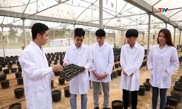 Nhiệm vụ, cơ cấu tổ chức mới của Bộ Giáo dục và Đào tạo 