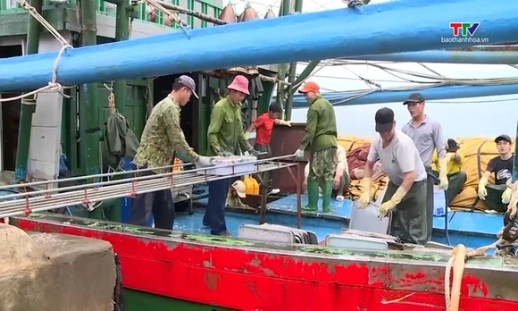 Hướng tới nghề cá bền vững