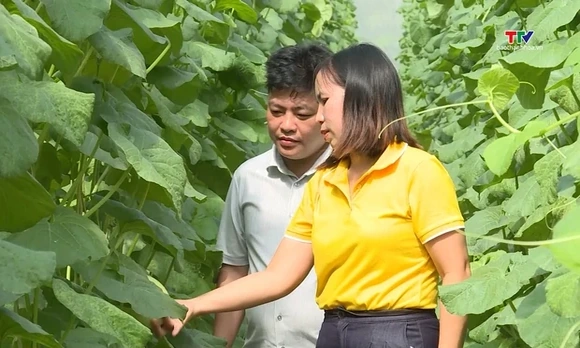 Khi chính quyền gần dân hơn