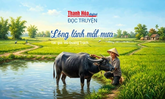 Truyện ngắn "“Lóng lánh mắt mưa” - Vũ Quang Trạch