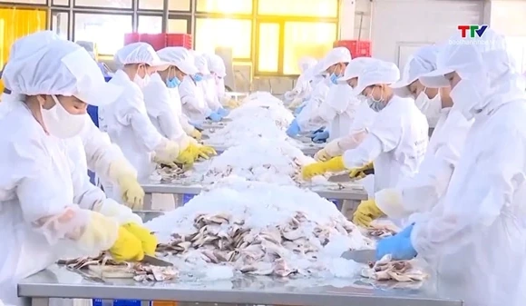 Xuất khẩu thủy sản khởi sắc, thị trường Trung Quốc tăng gần 39%
