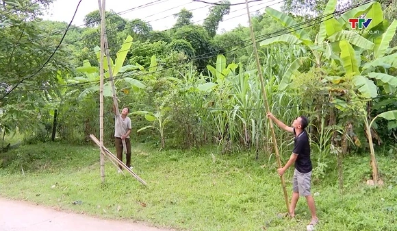 Đường điện sát đất khiến hơn 20 hộ dân lo mất an toàn mùa mưa bão