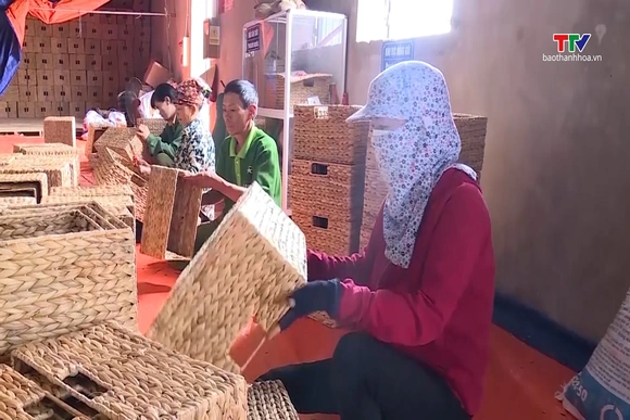 Thanh Hóa có 545 HTX tham gia đóng BHXH cho người lao động