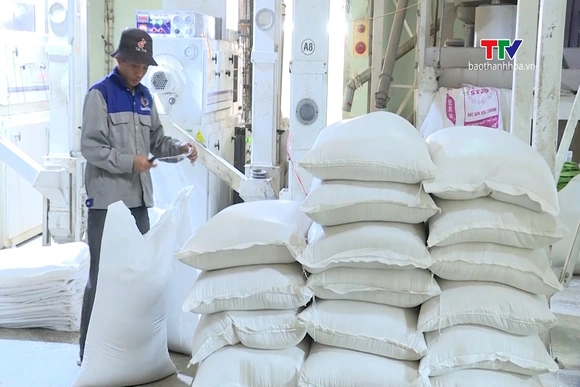 Kinh tế Việt Nam: Vững vàng duy trì đà tăng trưởng