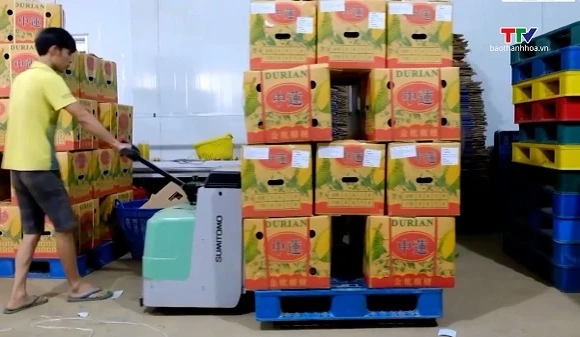 Xuất khẩu rau quả ước đạt hơn 3,8 tỷ USD sau 7 tháng