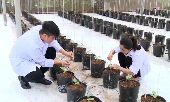 Hỗ trợ phát triển công nghệ cao, công nghệ chiến lược
