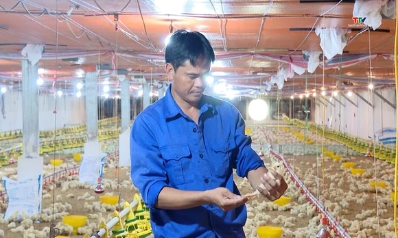 Từ công nghệ đến giá trị chăn nuôi gia cầm