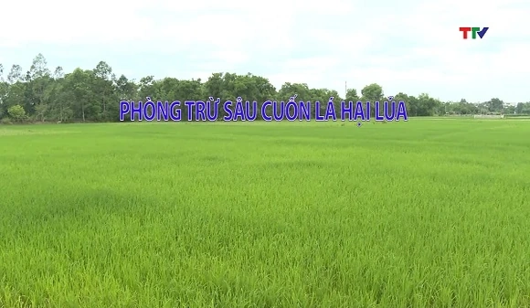 Khuyến nông 21/7/2026