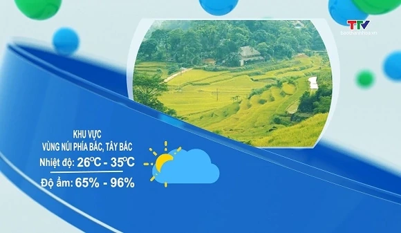 Bản tin cảnh báo thiên tai và thời tiết ngày 22/7/2026