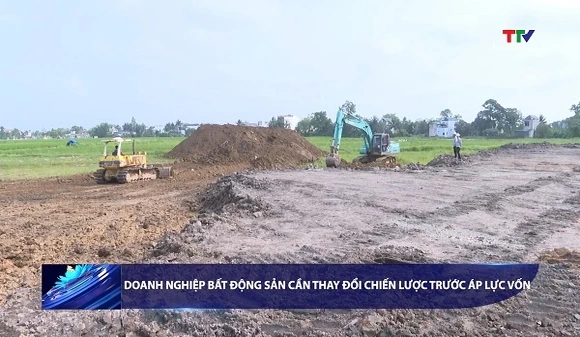 Bản tin Tài chính - Thị trường ngày 24/7/2026