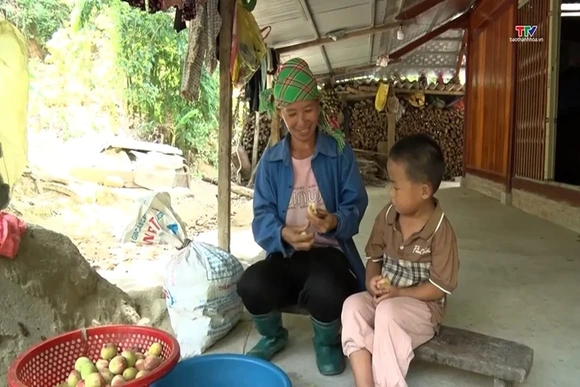 Trái ngọt trên vùng biên