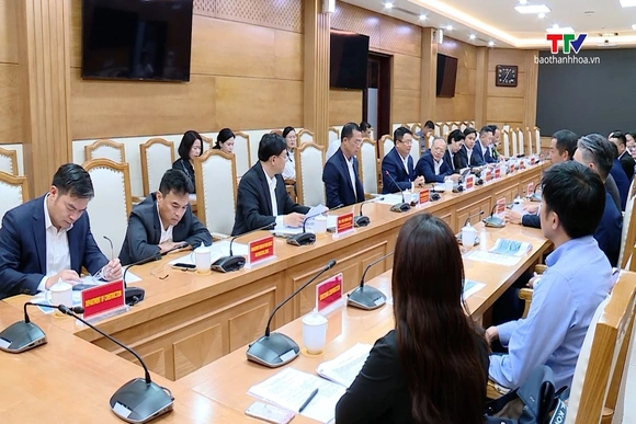 Chủ tịch Ủy ban Nhân dân tỉnh làm việc với Tập đoàn Sumitomo