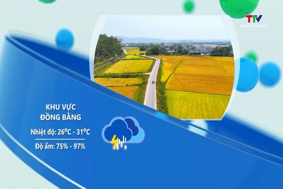 Dự báo thời tiết 19h ngày 29/7/2026