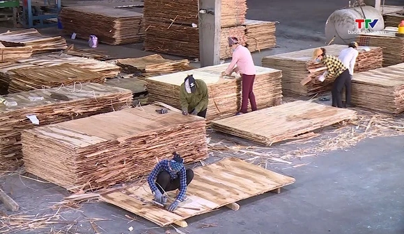 Nguy cơ ngành gỗ thiếu nguyên liệu sản xuất