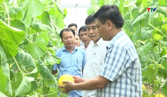 Phát triển nông nghiệp công nghệ cao
