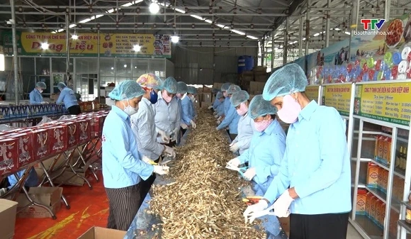 Hiệu quả từ phong trào nông dân sản xuất, kinh doanh giỏi