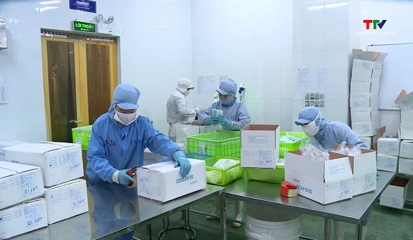 Xuất khẩu thủy sản khởi sắc