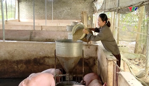 Việt Nam mở rộng cơ hội đầu tư phát triển chăn nuôi bền vững