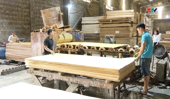 Xuất khẩu dăm gỗ gây áp lực lên chế biến sâu