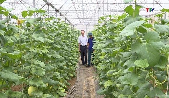 Xã Hồ Vương quyết tâm “cán đích” xã nông thôn mới