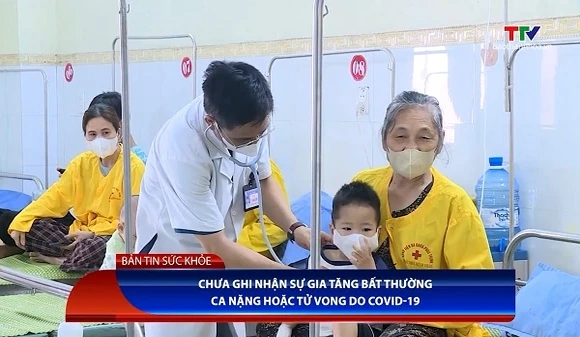 Chưa ghi nhận sự gia tăng bất thường ca nặng hoặc tử vong do COVID-19