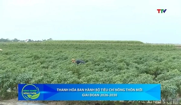 Bản tin Nông nghiệp – Nông thôn ngày 01/8/2026