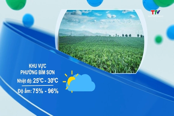 Dự báo thời tiết 19h ngày 31/7/2026