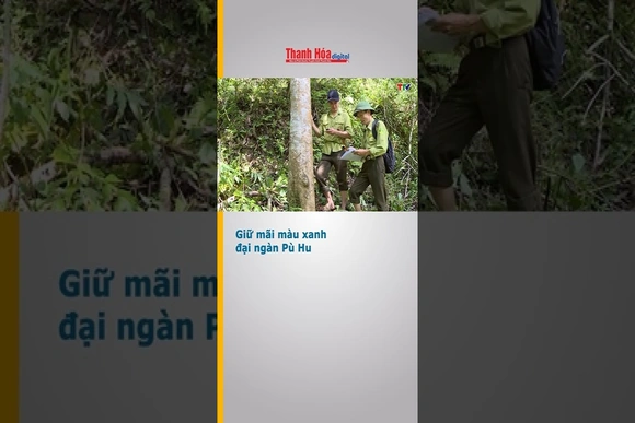 Giữ mãi màu xanh đại ngàn Pù Hu