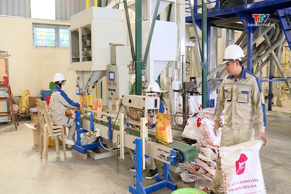 Giá gạo xuất khẩu duy trì ở mức cao