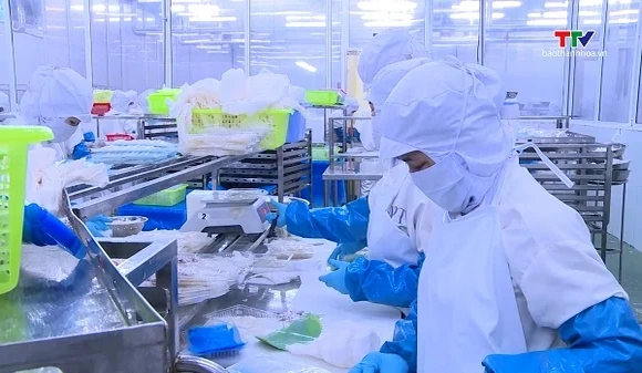 Xuất khẩu thủy sản Thanh Hóa duy trì ổn định trong 7 tháng đầu năm