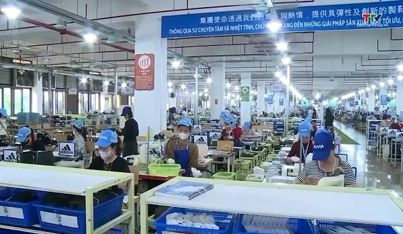 Doanh nghiệp Thanh Hóa chủ động ứng phó với phòng vệ thương mại