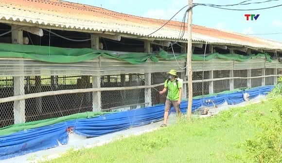Khuyến nông ngày 07/8/2026