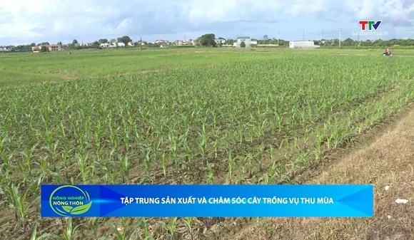 Bản tin Nông nghiệp – Nông thôn ngày 08/8/2026