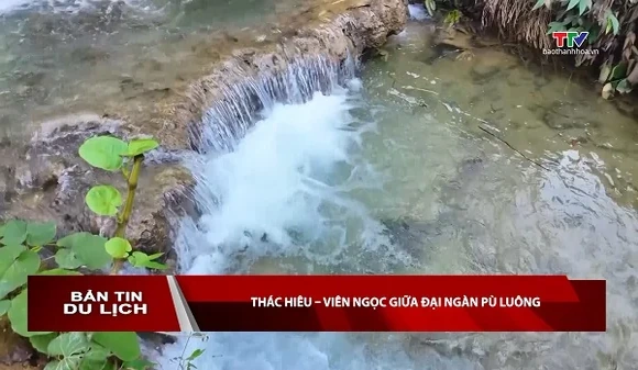 Bản tin Du lịch ngày 08/8/2026