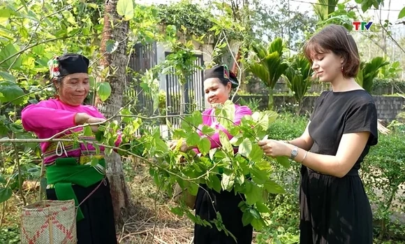 Làng Lập Thắng làm du lịch