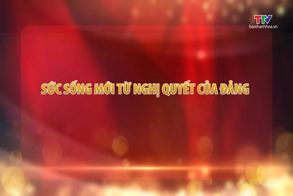 Đảng trong cuộc sống ngày 11/8/2026