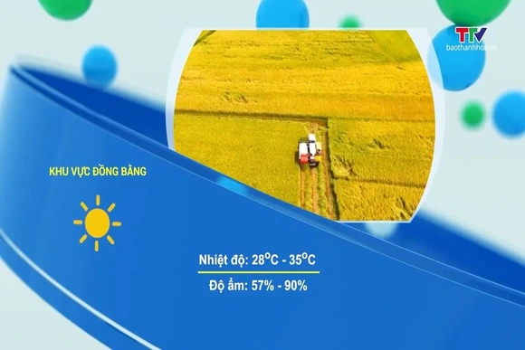 Dự báo thời tiết 19h ngày 12/8/2026